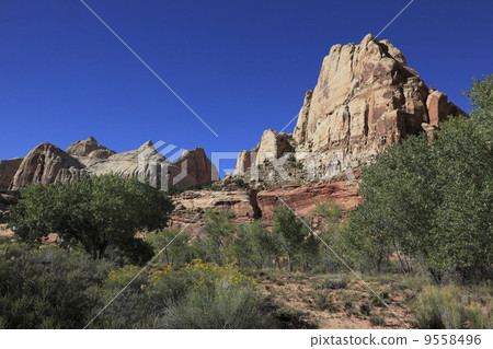 Capitol · Reef National Park Navajo · dome 9558496