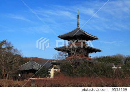 Jiyūji Temple at sun 9558569