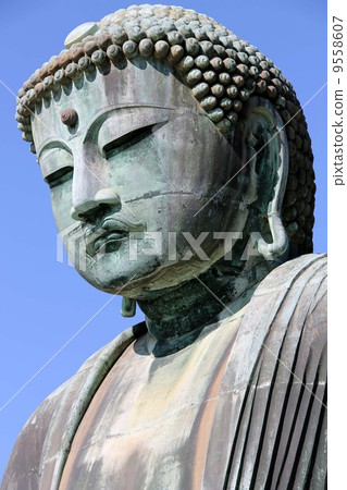 Kamakura Great Buddha 9558607