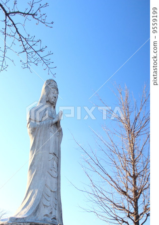 Washinomiyama的和平觀音 Washinomiyama的和平觀音 9559199