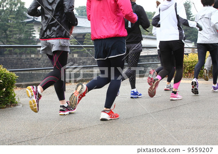 Image of the jogging marathon (Imperial Ran) Image of the jogging marathon (Imperial Ran) 9559207