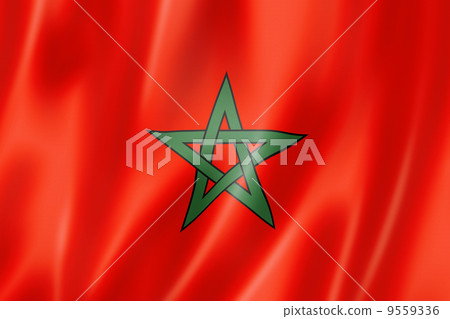 Moroccan flag 9559336