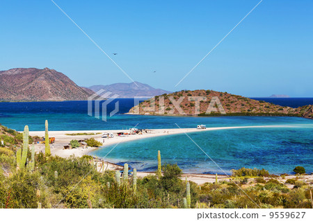 Baja California 9559627