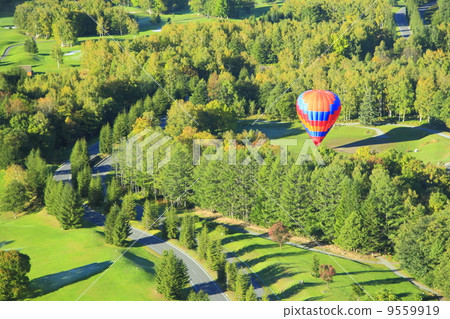 Balloon 2 9559919