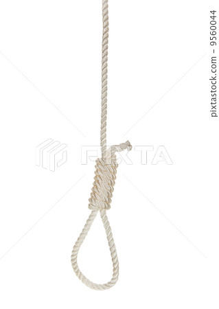 Hanging noose on a white rope 9560044