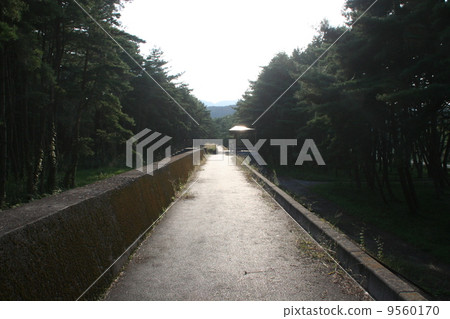 高田松原潮的潮汐（2010年10月） 9560170