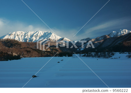 早上你的桌子 9560222