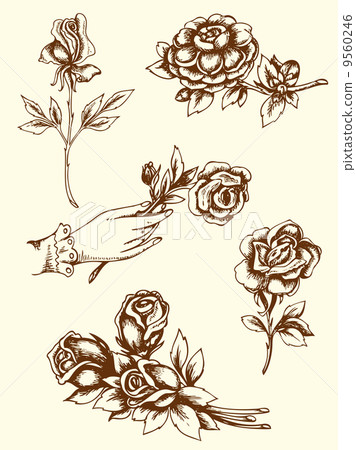 Vintage flowers 9560246