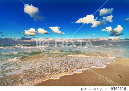 a sandy beach 9560816