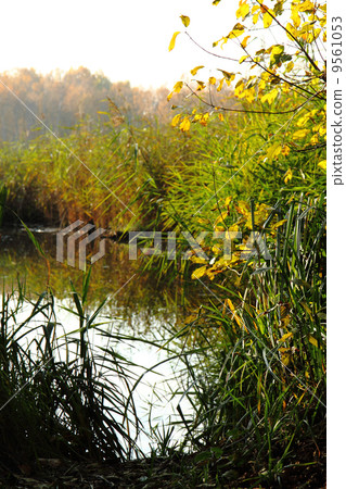 czech color autumn country 9561053