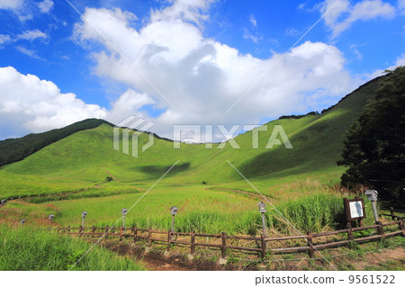 Summer's Sogen Plateau Summer's Sogen Plateau 9561522