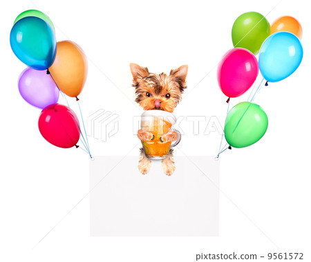 Holiday banners with balloons and dog hold beer 9561572