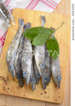 Raw ice fish Raw ice fish 9561695
