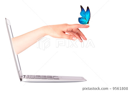 Laptop side view with butterfly on hand Laptop side view with butterfly on hand 9561808