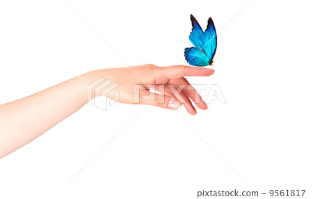 butterfly on woman's hand. In motion butterfly on woman's hand. In motion 9561817