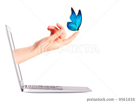 Laptop side view with  butterfly on hand 9561838