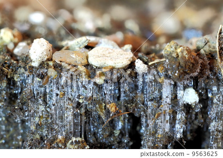 frost pillar frost pillar 9563625