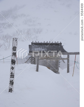 Shinshu Komagatake Shrine 9564499