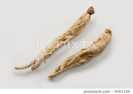 Ginseng Ginseng 9565199