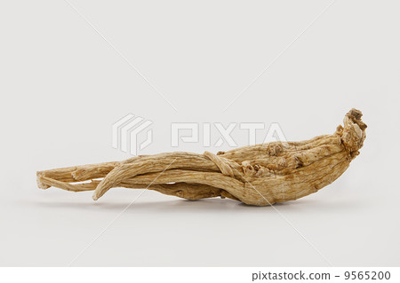 Ginseng 9565200