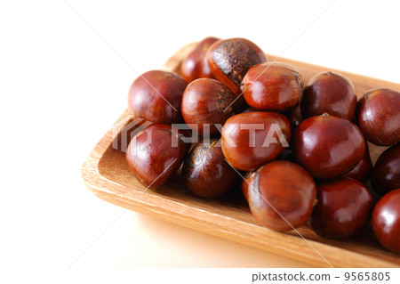 Tianjin Chestnut 9565805