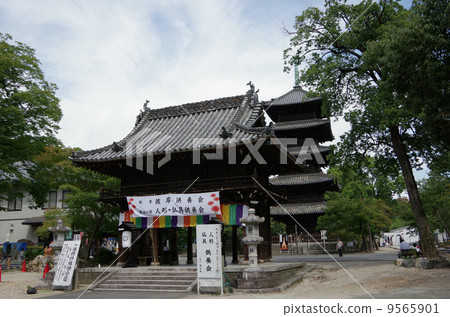 Yago·Kokodō-ji（Yamamon） 9565901