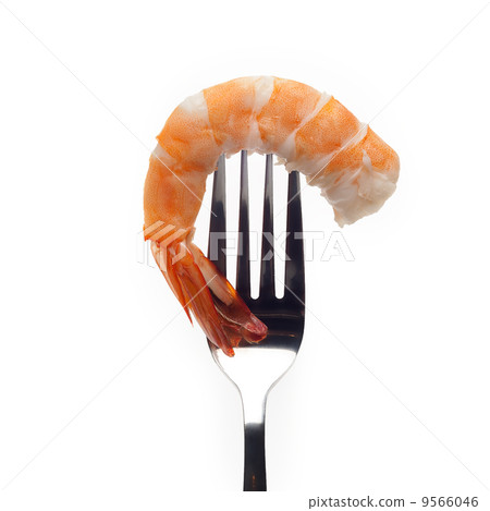Shrimp with fork 9566046