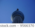 天空樹 9566370