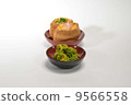 Hina Matsuri 9566558