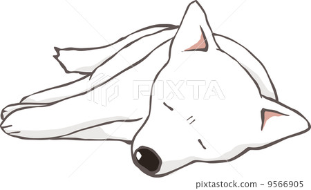 A stubborn white dog A stubborn white dog 9566905