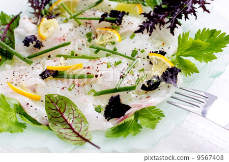 White Fish Carpaccio 9567408