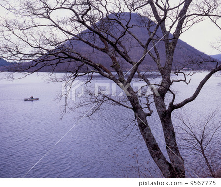 Spring of Haruna Spring of Haruna 9567775