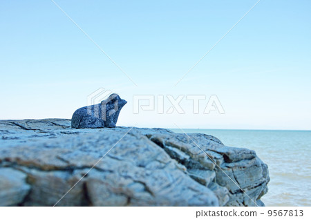 天空，海洋，青蛙 9567813