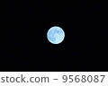 月 9568087