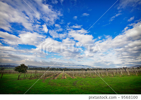 Scenery 9568100