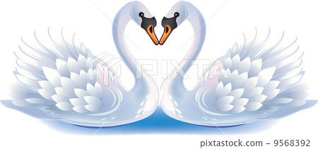 vector couple of swans 9568392