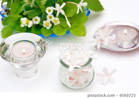 埃斯特 埃斯特 9568725