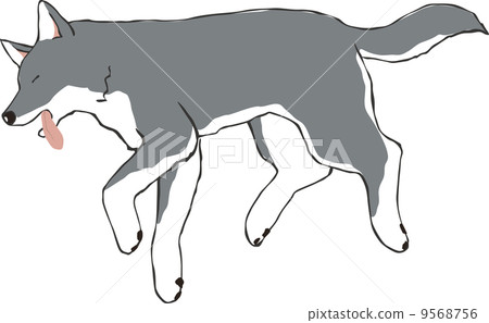 Black dog falls as he suffers 9568756