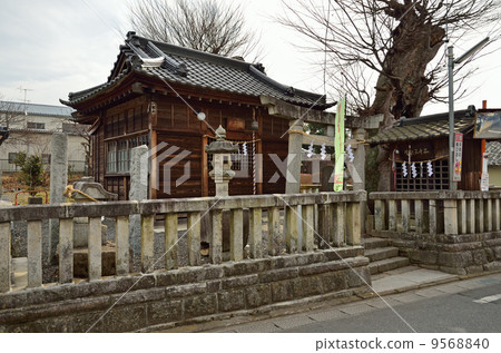 Mashira walk / Atago Shrine 9568840