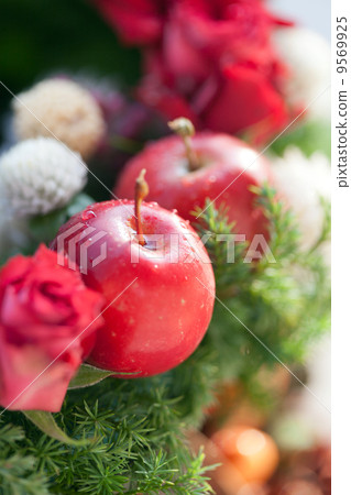 Mini apple on the lease 9569925