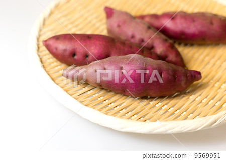 Sweet potato on a monkey Sweet potato on a monkey 9569951