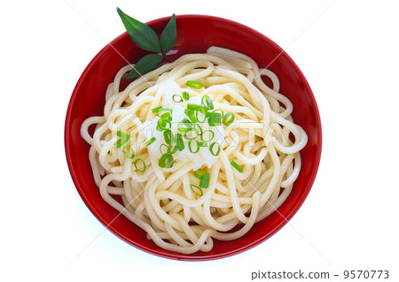 thick japanese wheat noodles, udon, nourishing