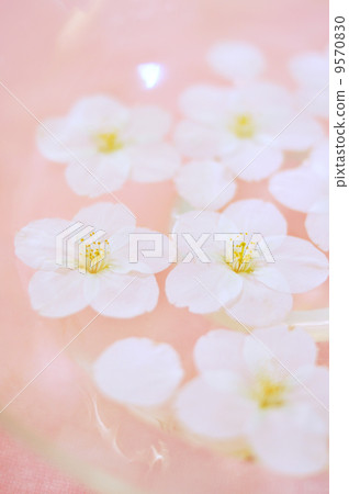 Cherry blossoms floating in water 9570830