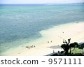 The sea of Okinawa 9571111