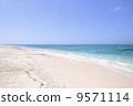 Sea of Okinawa Naganu Island 9571114