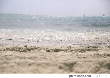 沖繩Naganu海島 9571116