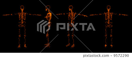 Fire skeleton - Stock Illustration [9572290] - PIXTA