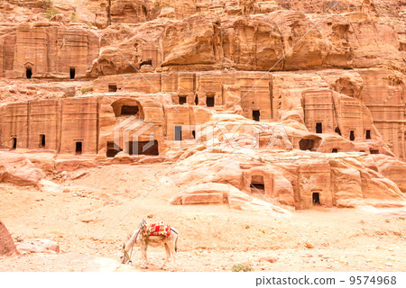 Rokuri (Jordan, Petra ruins) 9574968