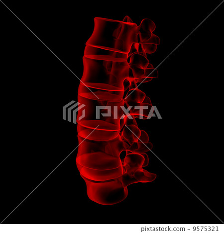 3d rendered illustration-lumbar side view 9575321