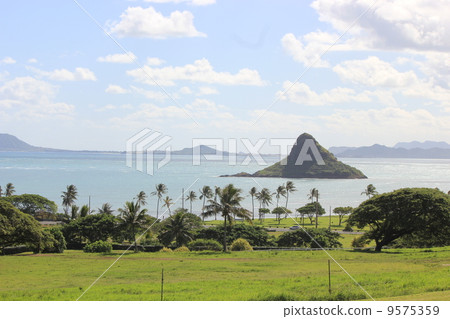 China Man's Hat 9575359